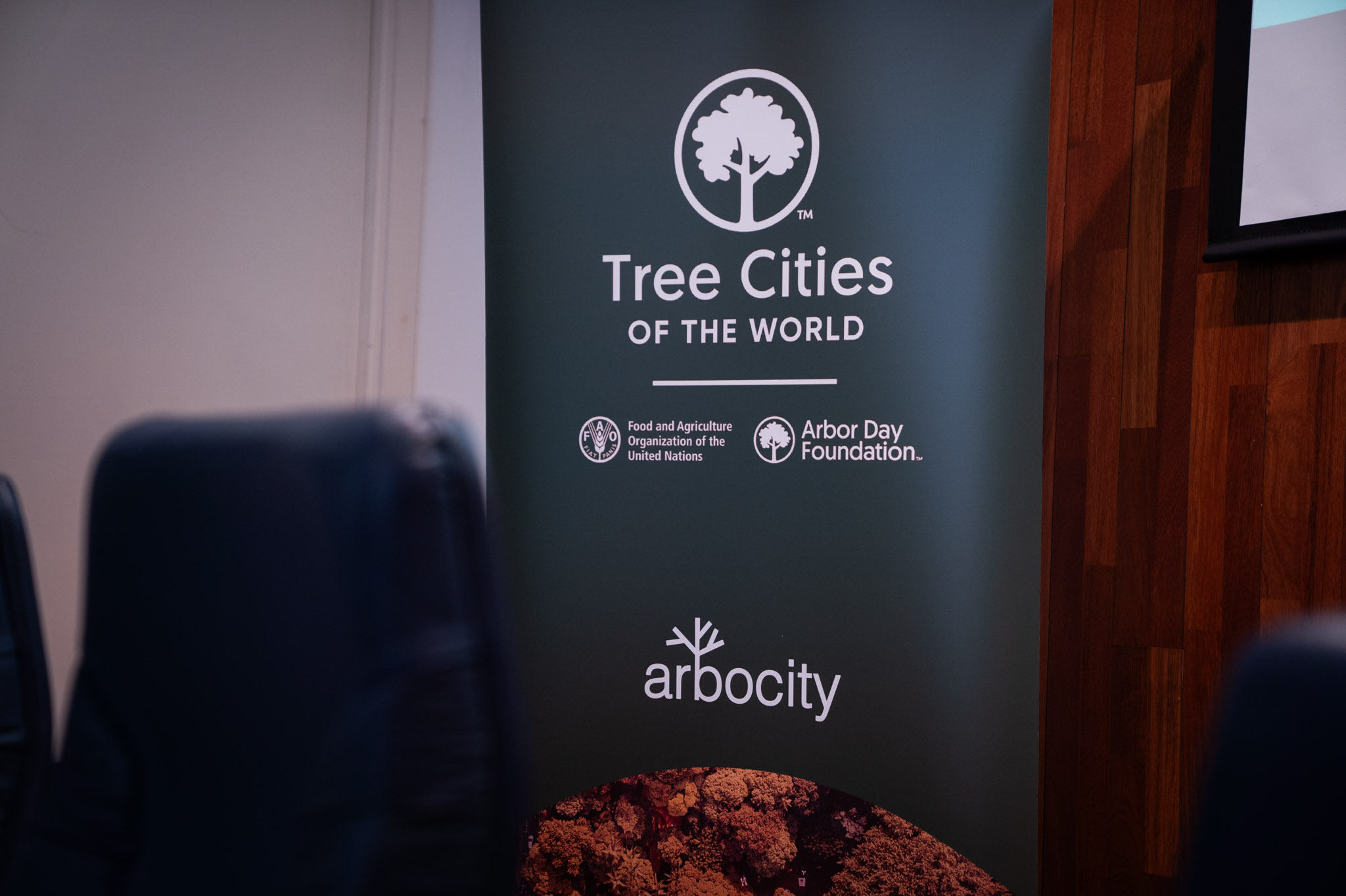 Encuentro Europeo de Tree Cities of the World sobre la gestión del arbolado urbano