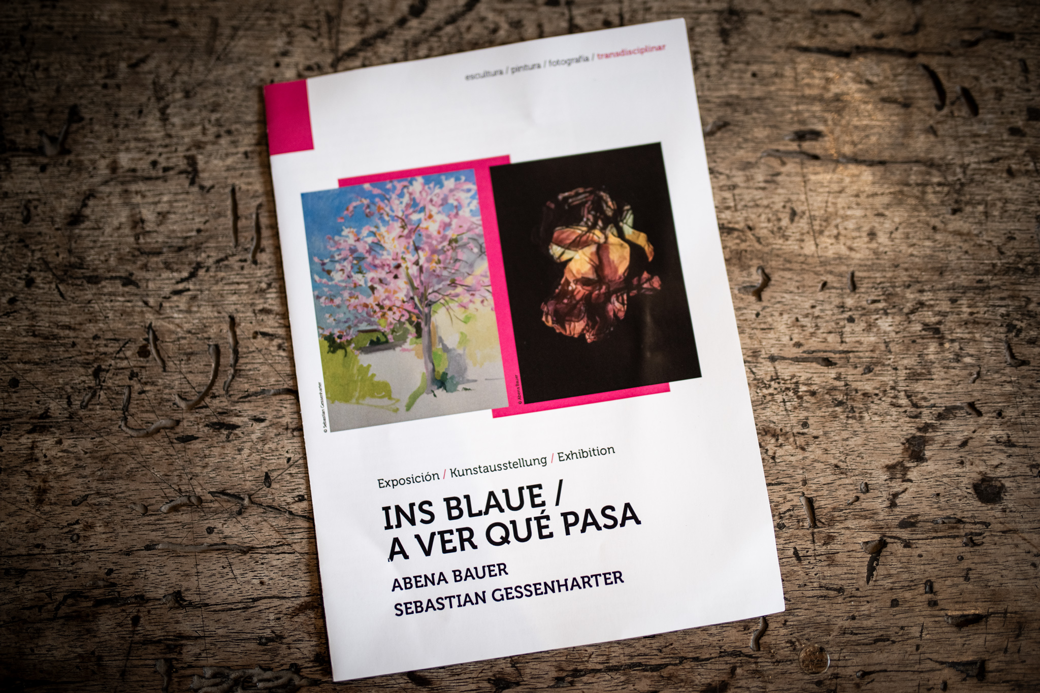 El Ayuntamiento organiza la exposición de los artistas alemanes Abena Bauer y Sebastián ...