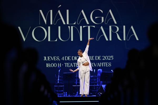 Voluntariado