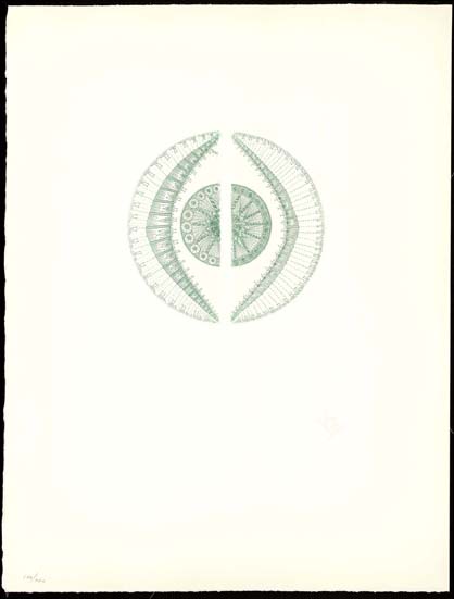 "PELL" 2