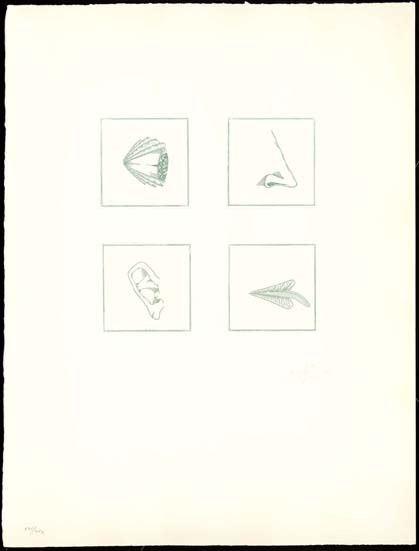 "PELL" 5
