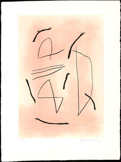"SIGNE I COLOR" 4